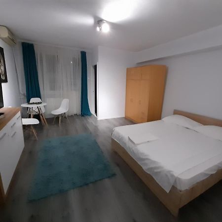 Bega Circumvalatiunii 1 Room Apartment Тимишоара Экстерьер фото