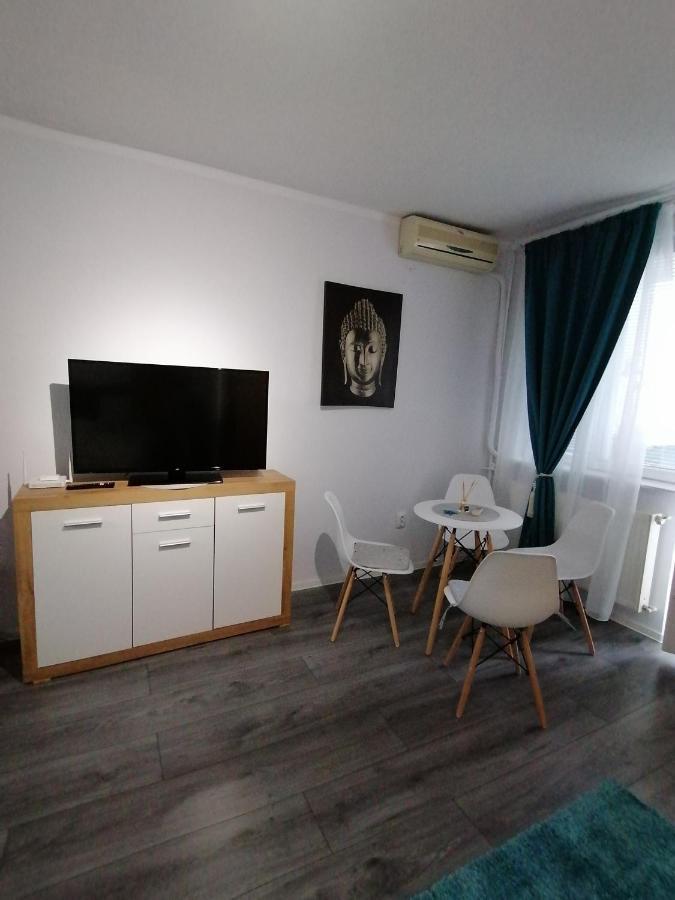 Bega Circumvalatiunii 1 Room Apartment Тимишоара Экстерьер фото