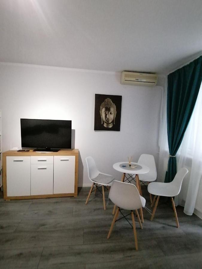 Bega Circumvalatiunii 1 Room Apartment Тимишоара Экстерьер фото