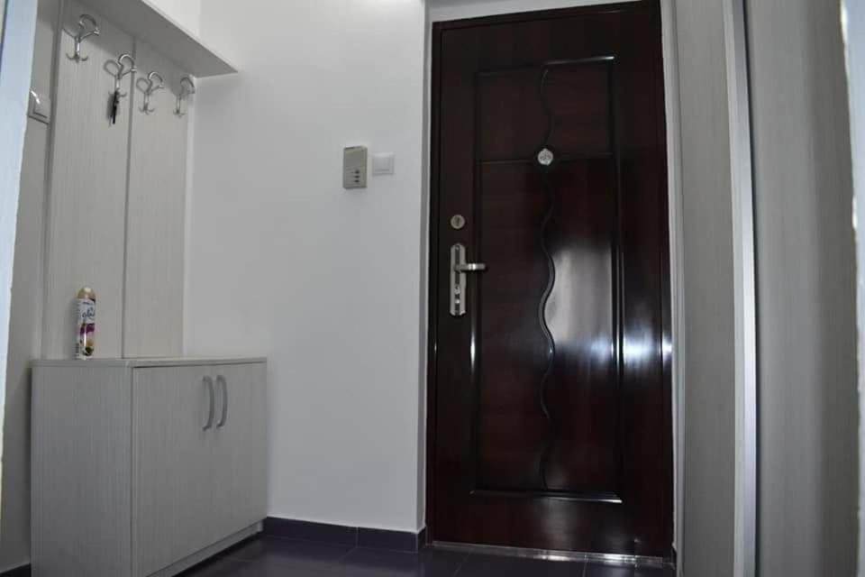 Bega Circumvalatiunii 1 Room Apartment Тимишоара Экстерьер фото