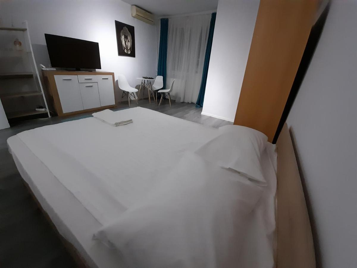 Bega Circumvalatiunii 1 Room Apartment Тимишоара Экстерьер фото